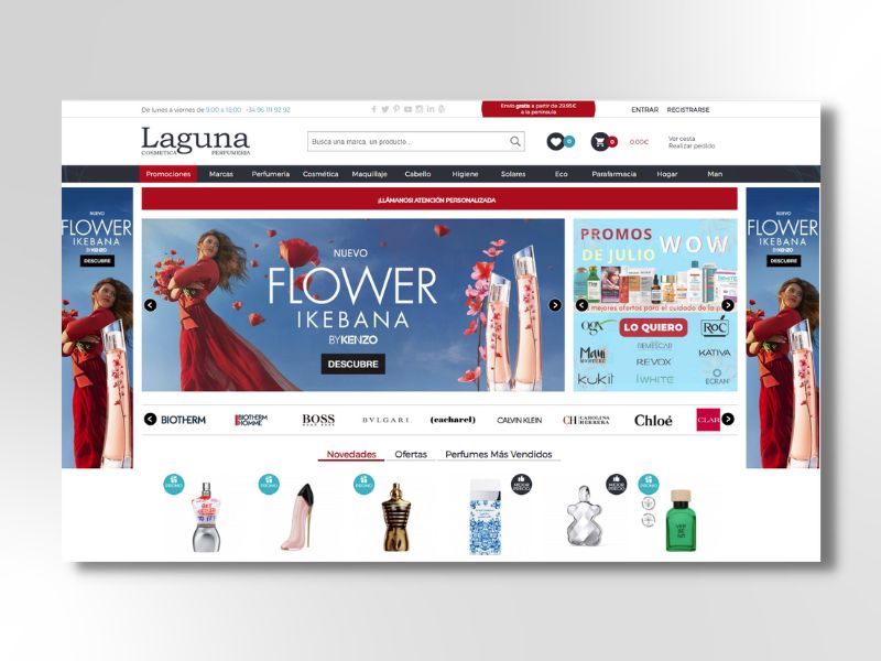 proyecto de tienda online de laguna